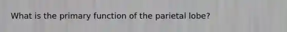 What is the primary function of the parietal lobe?