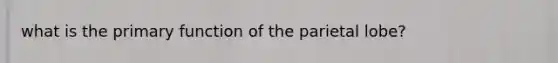 what is the primary function of the parietal lobe?