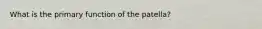 What is the primary function of the patella?