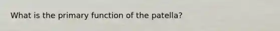 What is the primary function of the patella?