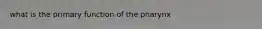 what is the primary function of the pharynx