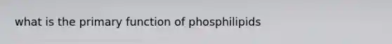 what is the primary function of phosphilipids