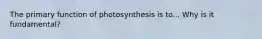 The primary function of photosynthesis is to... Why is it fundamental?