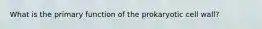 What is the primary function of the prokaryotic cell wall?