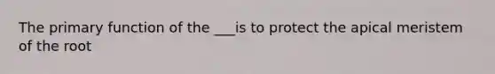 The primary function of the ___is to protect the apical meristem of the root