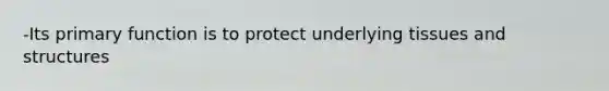 -Its primary function is to protect underlying tissues and structures