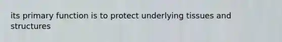 its primary function is to protect underlying tissues and structures