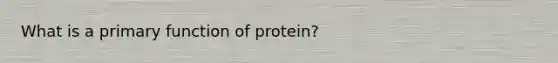 What is a primary function of protein?