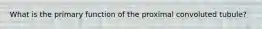 What is the primary function of the proximal convoluted tubule?