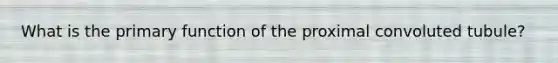 What is the primary function of the proximal convoluted tubule?