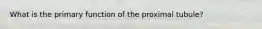 What is the primary function of the proximal tubule?