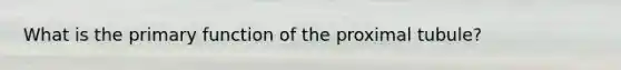 What is the primary function of the proximal tubule?