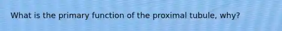 What is the primary function of the proximal tubule, why?