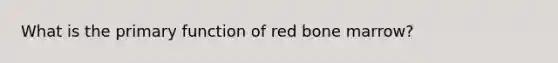 What is the primary function of red bone marrow?