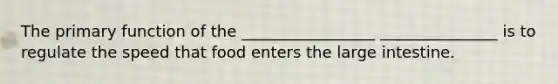 The primary function of the _________________ _______________ is to regulate the speed that food enters the large intestine.