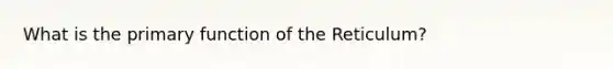 What is the primary function of the Reticulum?