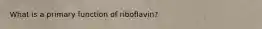 What is a primary function of riboflavin?