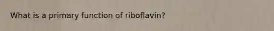 What is a primary function of riboflavin?