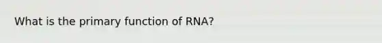 What is the primary function of RNA?