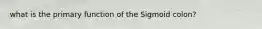 what is the primary function of the Sigmoid colon?