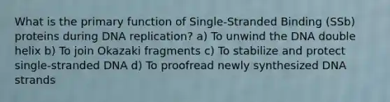 What is the primary function of Single-Stranded Binding (SSb) proteins during <a href='https://www.questionai.com/knowledge/kofV2VQU2J-dna-replication' class='anchor-knowledge'>dna replication</a>? a) To unwind the DNA double helix b) To join Okazaki fragments c) To stabilize and protect single-stranded DNA d) To proofread newly synthesized DNA strands