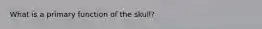 What is a primary function of the skull?