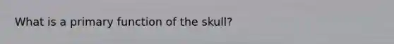 What is a primary function of the skull?