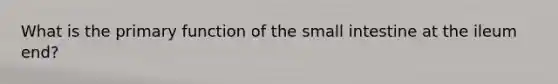 What is the primary function of the small intestine at the ileum end?