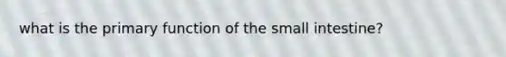 what is the primary function of the small intestine?