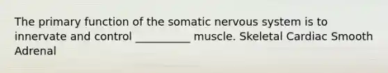 The primary function of the somatic <a href='https://www.questionai.com/knowledge/kThdVqrsqy-nervous-system' class='anchor-knowledge'>nervous system</a> is to innervate and control __________ muscle. Skeletal Cardiac Smooth Adrenal