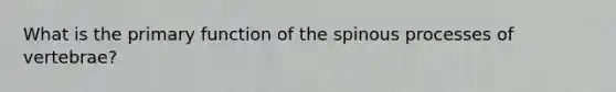 What is the primary function of the spinous processes of vertebrae?