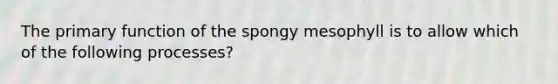 The primary function of the spongy mesophyll is to allow which of the following processes?