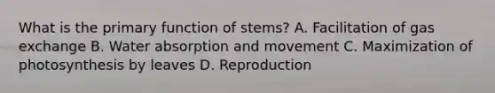 What is the primary function of stems? A. Facilitation of gas exchange B. Water absorption and movement C. Maximization of photosynthesis by leaves D. Reproduction