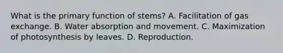 What is the primary function of stems? A. Facilitation of gas exchange. B. Water absorption and movement. C. Maximization of photosynthesis by leaves. D. Reproduction.