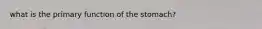 what is the primary function of the stomach?