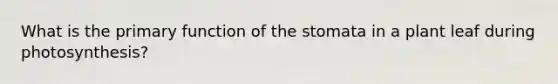 What is the primary function of the stomata in a plant leaf during photosynthesis?