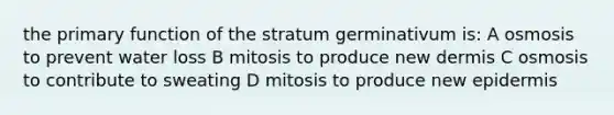 the primary function of the stratum germinativum is: A osmosis to prevent water loss B mitosis to produce new dermis C osmosis to contribute to sweating D mitosis to produce new epidermis