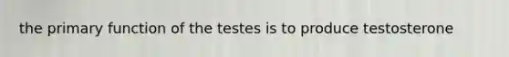 the primary function of the testes is to produce testosterone