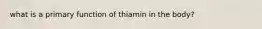 what is a primary function of thiamin in the body?