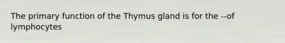 The primary function of the Thymus gland is for the --of lymphocytes