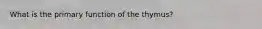 What is the primary function of the thymus?