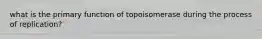 what is the primary function of topoisomerase during the process of replication?