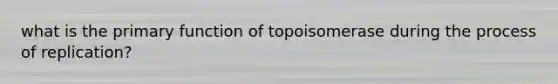 what is the primary function of topoisomerase during the process of replication?