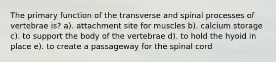 The primary function of the transverse and spinal processes of vertebrae is? a). attachment site for muscles b). calcium storage c). to support the body of the vertebrae d). to hold the hyoid in place e). to create a passageway for the spinal cord