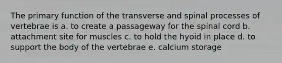 The primary function of the transverse and spinal processes of vertebrae is a. to create a passageway for the spinal cord b. attachment site for muscles c. to hold the hyoid in place d. to support the body of the vertebrae e. calcium storage