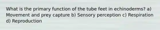 What is the primary function of the tube feet in echinoderms? a) Movement and prey capture b) Sensory perception c) Respiration d) Reproduction