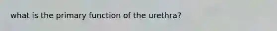 what is the primary function of the urethra?