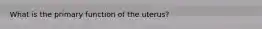 What is the primary function of the uterus?