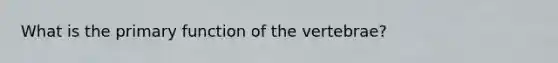 What is the primary function of the vertebrae?