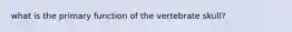 what is the primary function of the vertebrate skull?